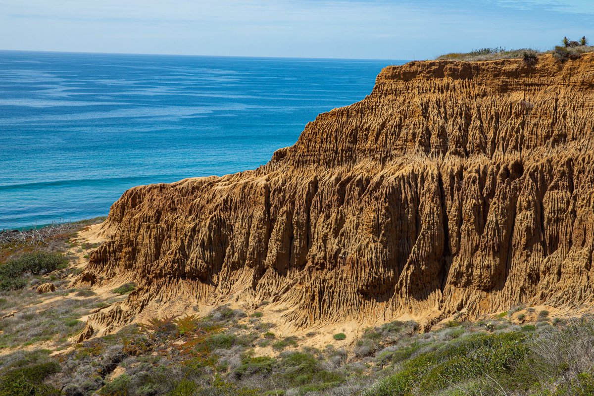 DSLRBLAKE's tweet photo. Erosion and ErosionxSpring now available 🌼 🌊 https://t.co/lljNuNFHfn https://t.co/DZzixb3Ukm