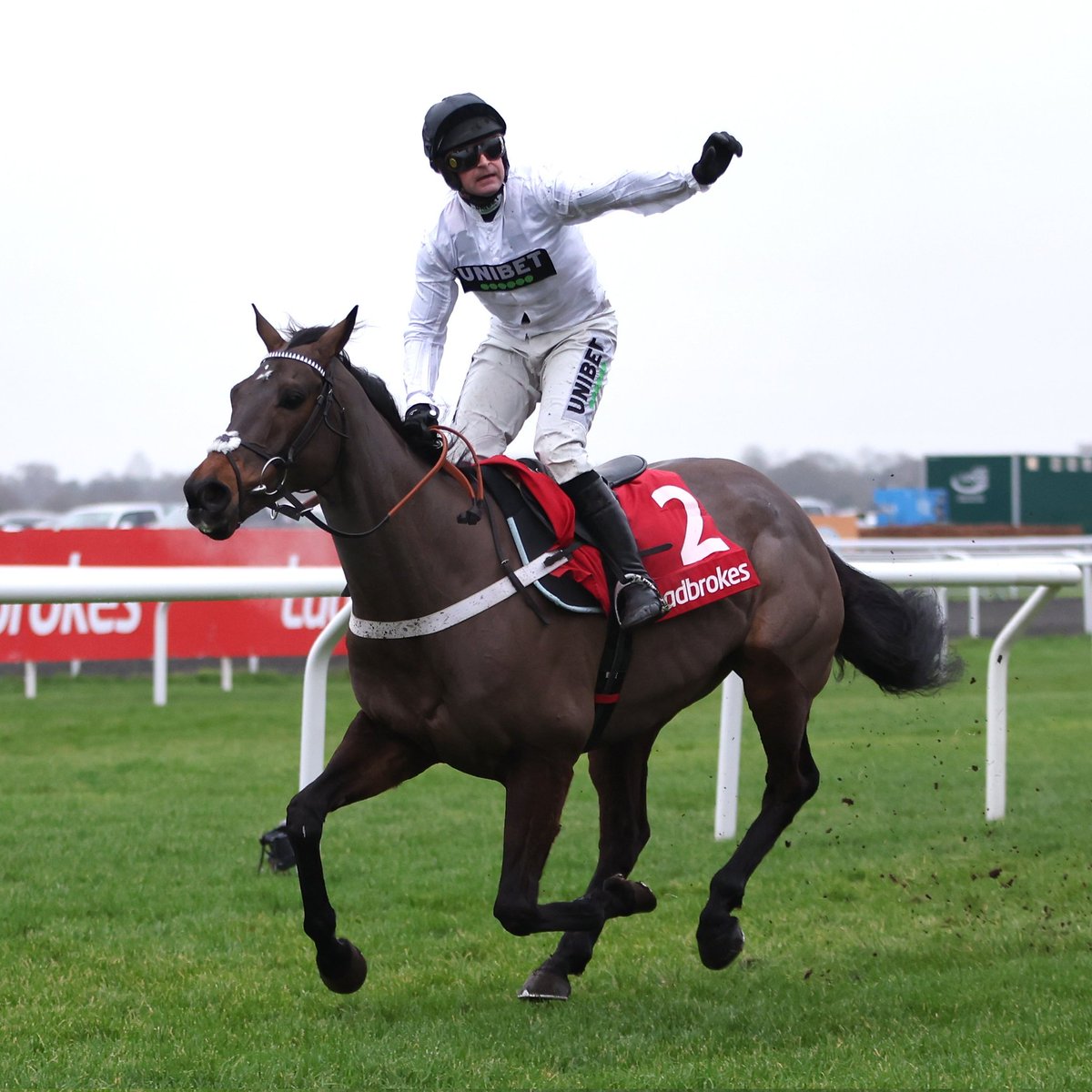 racingblogger's tweet image. Please win Constitution Hill ⚪️⚫️