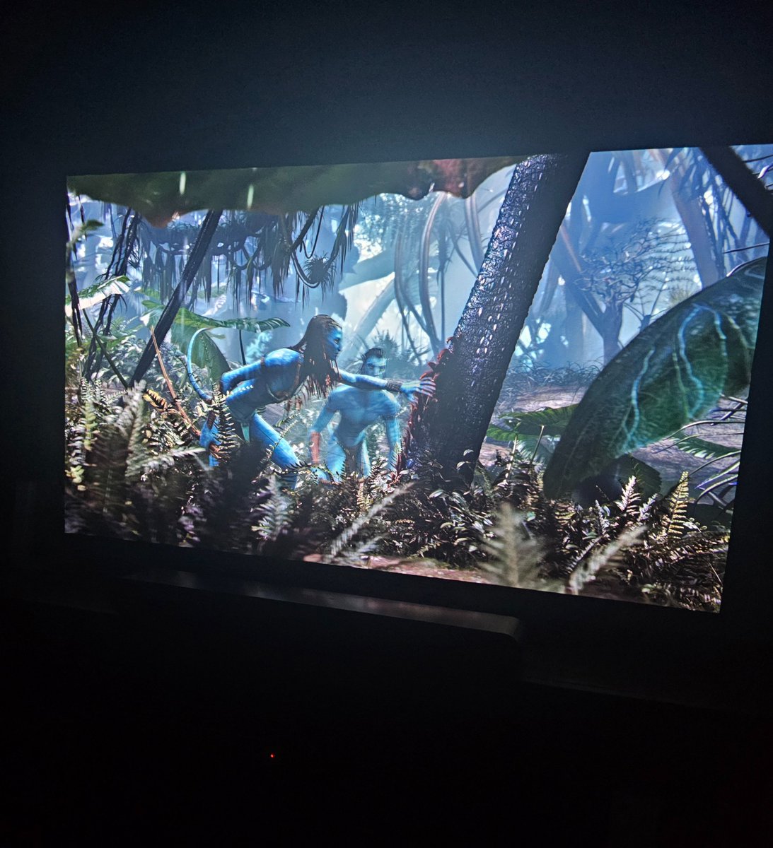 marxistkeithist's tweet image. hundreds of people are in my mentions calling me pretentious and saying I hate fun meanwhile i&apos;m just watching avatar collector&apos;s extended cut on 4k