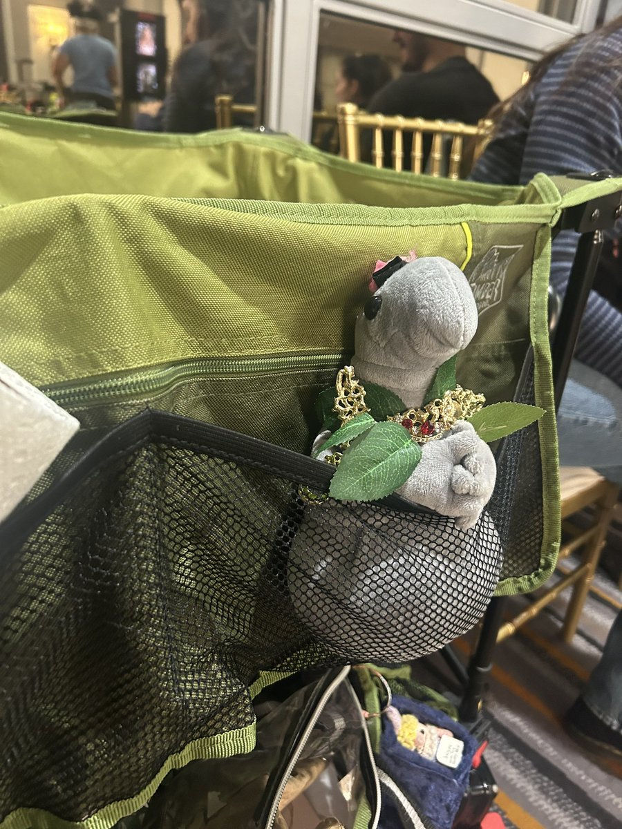 Normal day on set for homunculus loxodontus