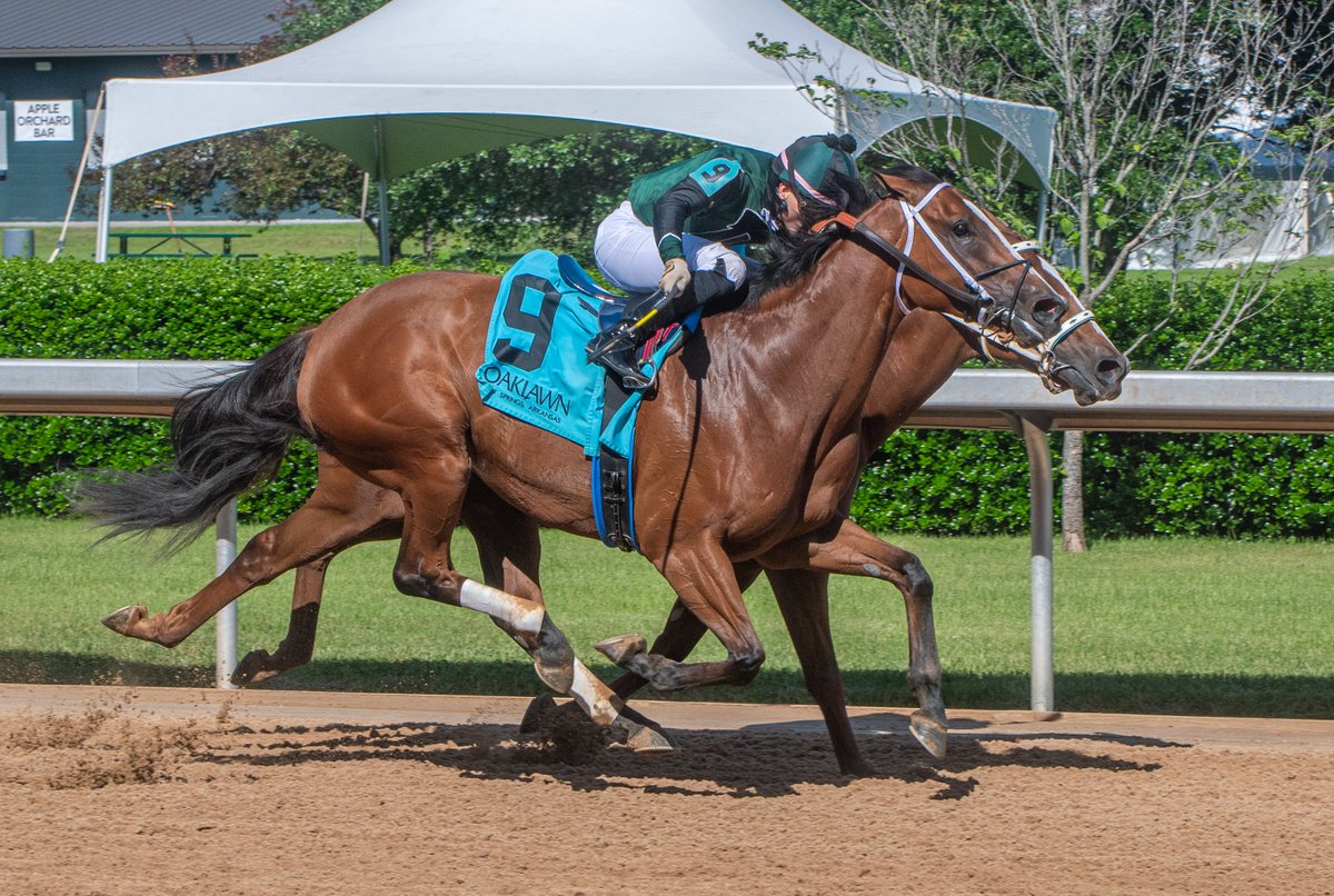 Robert Yates (@robertyates1982) on Twitter photo Another Oaklawn stakes winner for Practical Joke as Mischievous Gal (outside) takes Thursday's inaugural $145,000 Majestic Overnight for older F&M sprinters. <a href="/cristiantorr64/">Cristian A. Torres</a> (double on the card) for Matt Williams (first career Oaklawn stakes victory). Another Oaklawn stakes winner for Practical Joke as Mischievous Gal (outside) takes Thursday's inaugural $145,000 Majestic Overnight for older F&M sprinters. <a href="/cristiantorr64/">Cristian A. Torres</a> (double on the card) for Matt Williams (first career Oaklawn stakes victory).