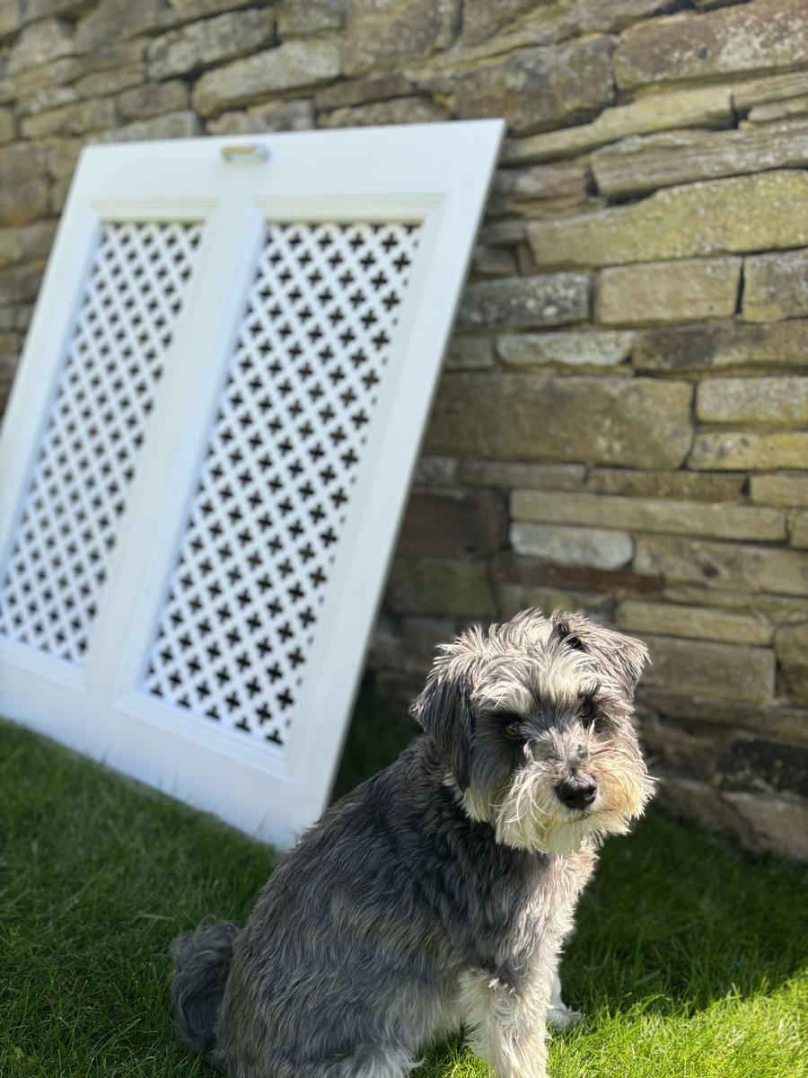 My little helpers from this week’s job. #ilkley