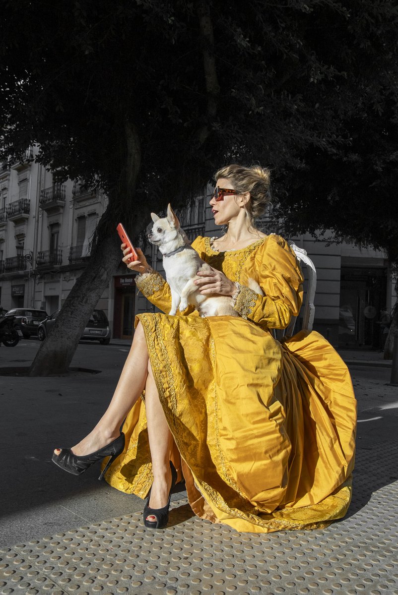 Auditori de Torrent tweet media