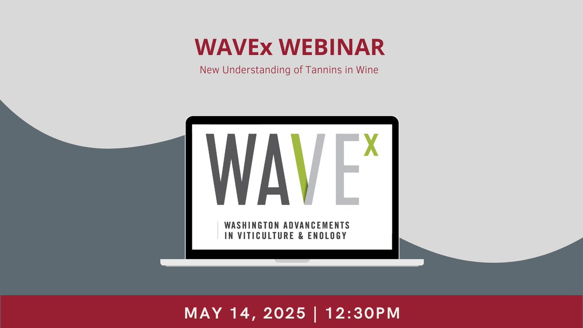 Register now for the upcoming WAVEx webinar on May 14, from 12:30-1:30 p.m. that will share new discoveries of what happens to tannins as wine ages in bottles.

washingtonwine.zoom.us/webinar/regist…