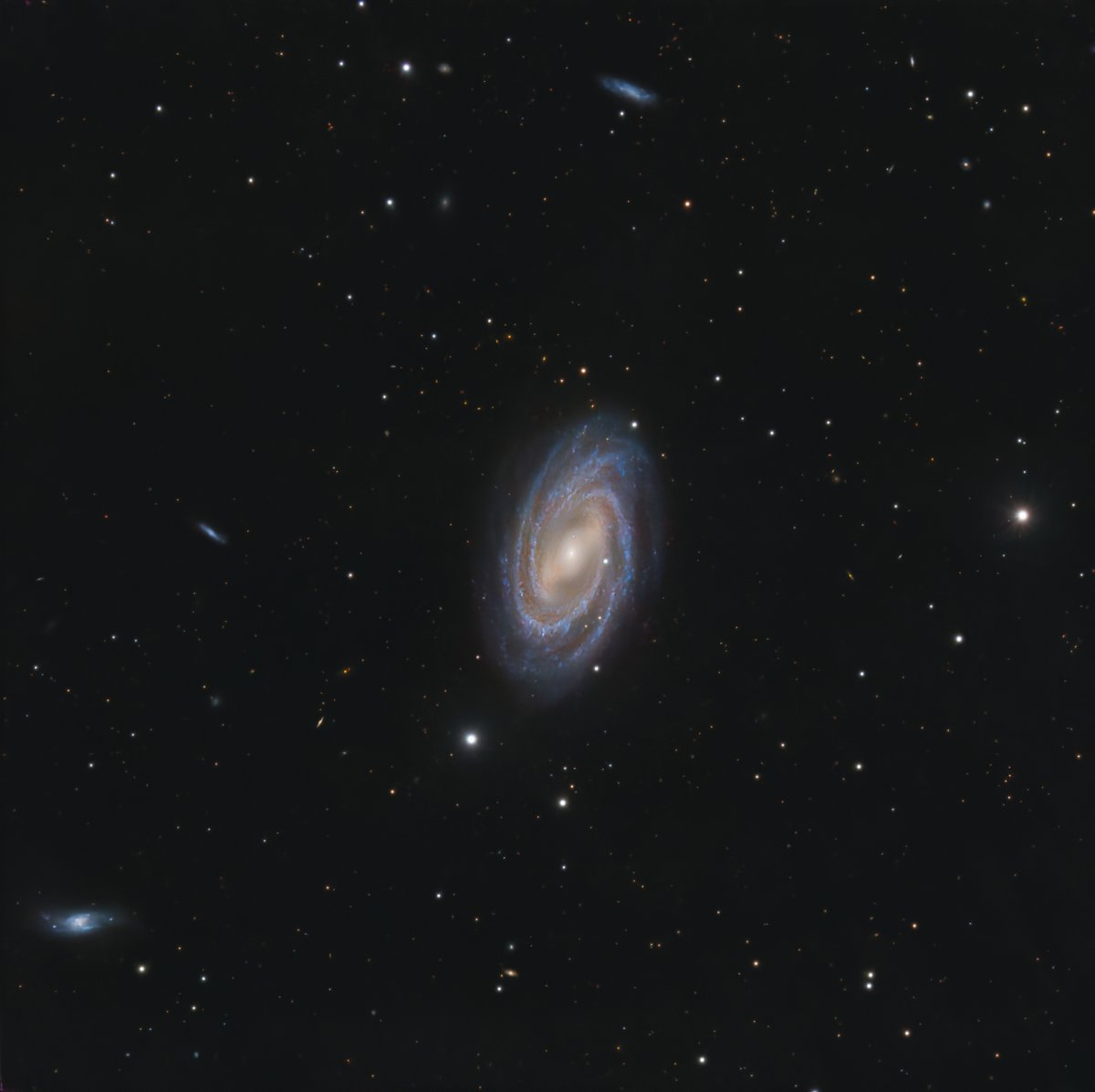 Beautiful barred spiral galaxy Messier 109 in a sea of background galaxies.

11h27' with the Celestron C8 @ f/7