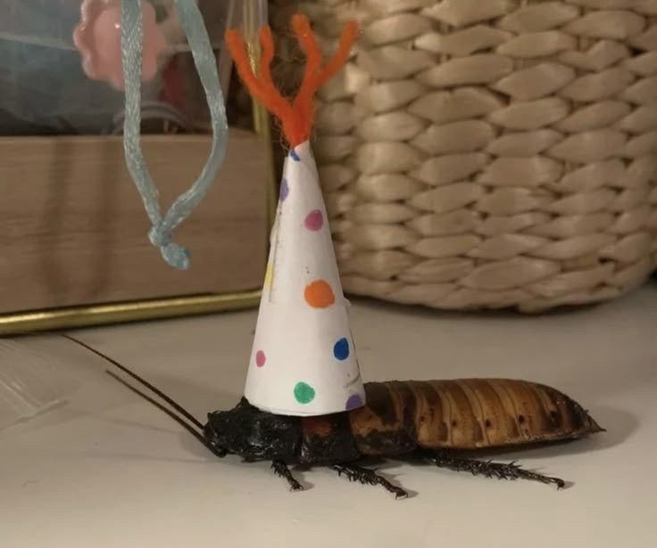 shadoomf🪲🇵🇸(homunculus enjoyer) tweet media