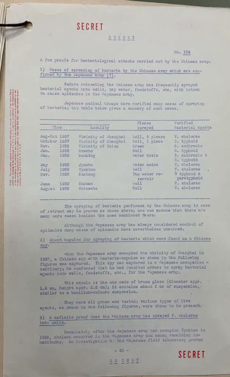 Atsuko Yamamoto🇯🇵 tweet media