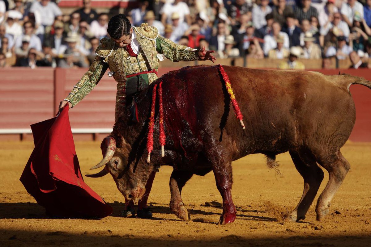 jcotrinap_40's tweet photo. Morante de la Puebla es mucho más que un torero:  Es el arte hecho carne, la inspiración vestida de luces. 

La Maestranza fué esta tarde un templo, y José Antonio Morante de la Puebla, su sumo sacerdote. 

El mejor de todos, un genio inmortal. https://t.co/ZN4YJQ35hG