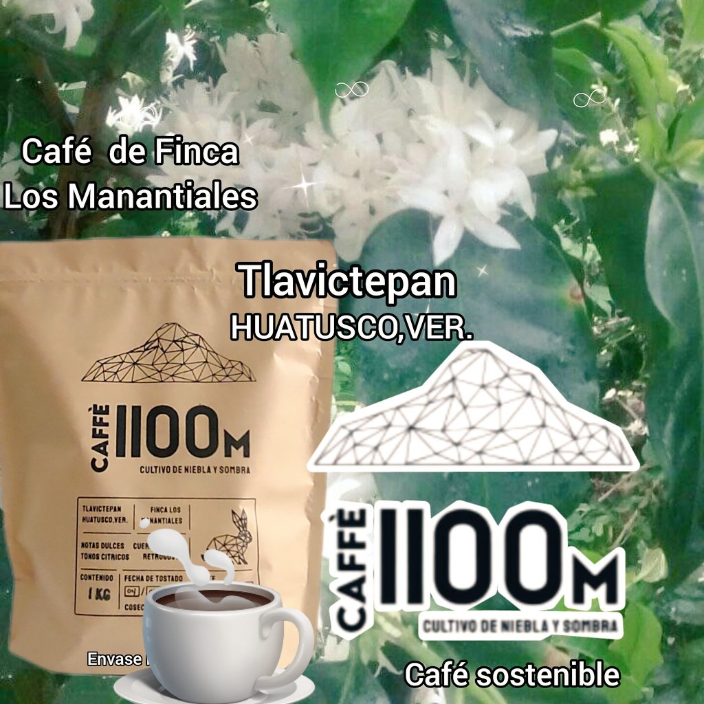 caffe1100m's tweet photo. https://t.co/1FO4cLrz3J