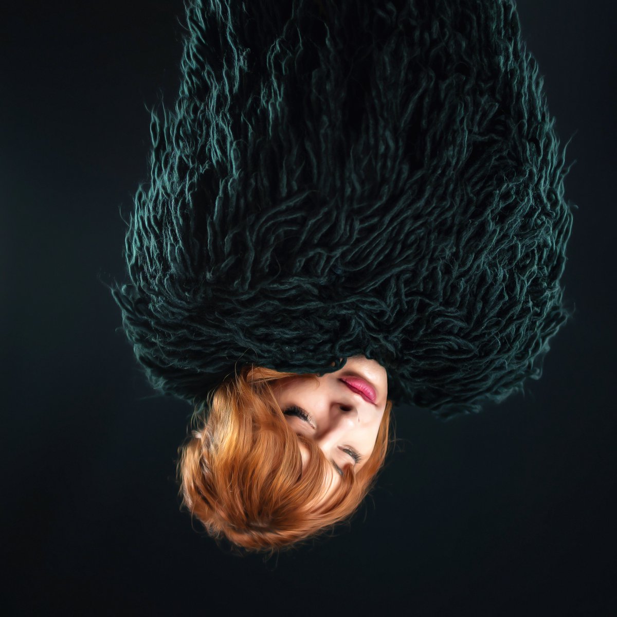 Gecko Rex tweet media