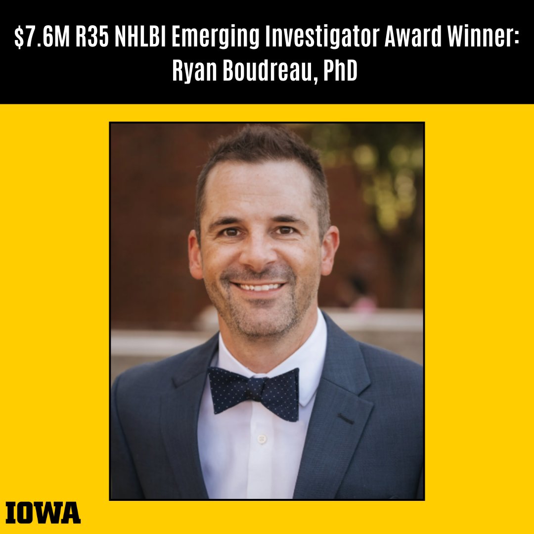 Congratulations to Ryan Boudreau, PhD, associate professor in cardiovascular medicine, who received a seven year, $7.6M R35 NHLBI Emerging Investigator Award. Dr. Boudreau is the second scientist at Iowa to receive this grant. Congrats! bit.ly/4jY0yCO