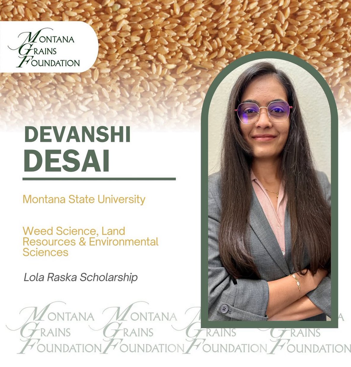devanshidesai3's tweet photo. I am happy to share that I received the Montana Grains Foundation Scholarship from the Montana Grain Growers Association. 

Thank you, Dr. Tim Seipel, Dr. Paul Nugent, and Dr. @Shergill_CSU for your support. https://t.co/v09kr24Aig
