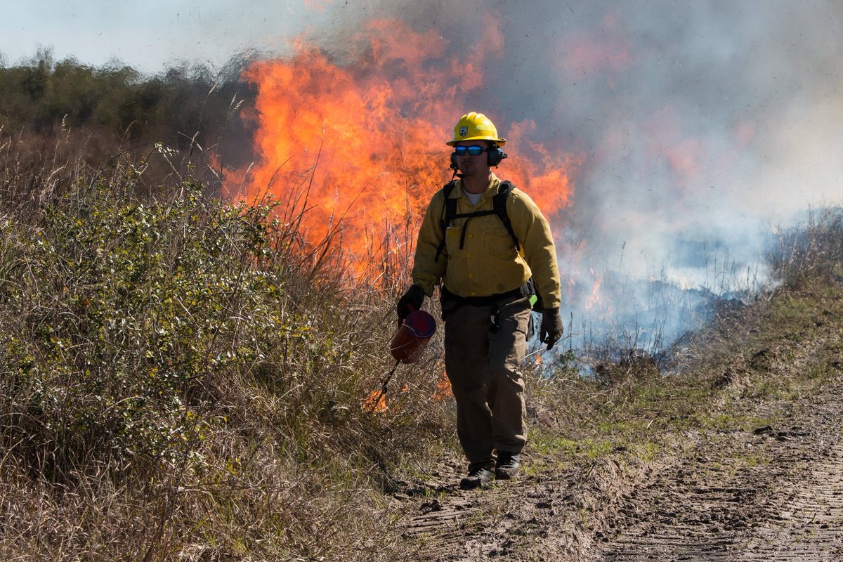 USFWS Fire (@usfwsfire) on Twitter photo We’re #hiring 3 GS-6 wildland firefighters in S. TX, where fire meets some of the most diverse wildlife habitat in the country - Laguna Atascosa, Lower Rio Grande Valley and Aransas NWRs.
Apply by May 13 ➡️ bit.ly/44LsvcM
#NotYOurOrdinaryJob
<a href="/USFWSCareers/">U.S. Fish and Wildlife Service Careers</a>
📸 USFWS We’re #hiring 3 GS-6 wildland firefighters in S. TX, where fire meets some of the most diverse wildlife habitat in the country - Laguna Atascosa, Lower Rio Grande Valley and Aransas NWRs.
Apply by May 13 ➡️ bit.ly/44LsvcM
#NotYOurOrdinaryJob
<a href="/USFWSCareers/">U.S. Fish and Wildlife Service Careers</a>
📸 USFWS