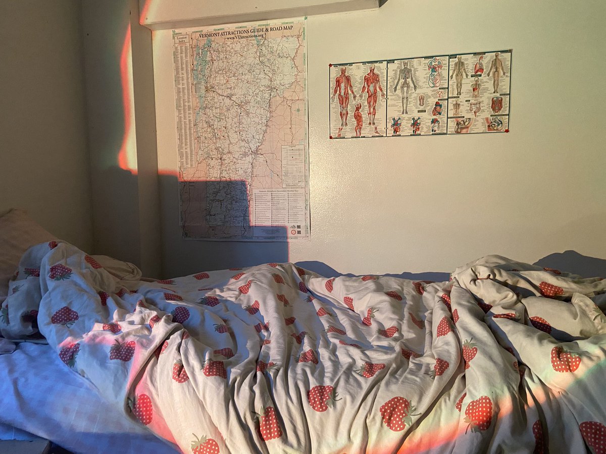 exam finished. did okayy i think. moving out tmrw (hence the mini fridge defrosting lol). i get so sad everytime i have to pack my life up. this room has seen me in the best and worst of times. many tears but much more laughter. i love you north hall 🐹