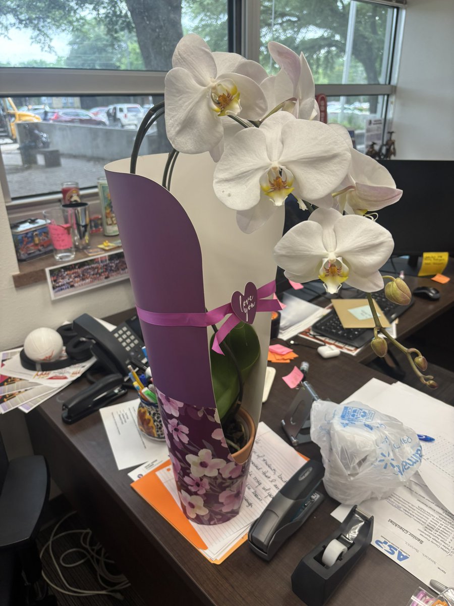 WT White High School tweet media