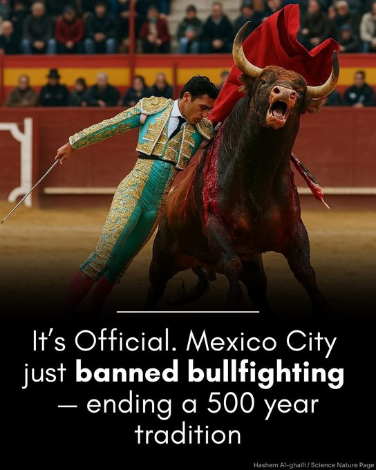 WallStreetMav's tweet image. Bullfighting banned in Mexico City.