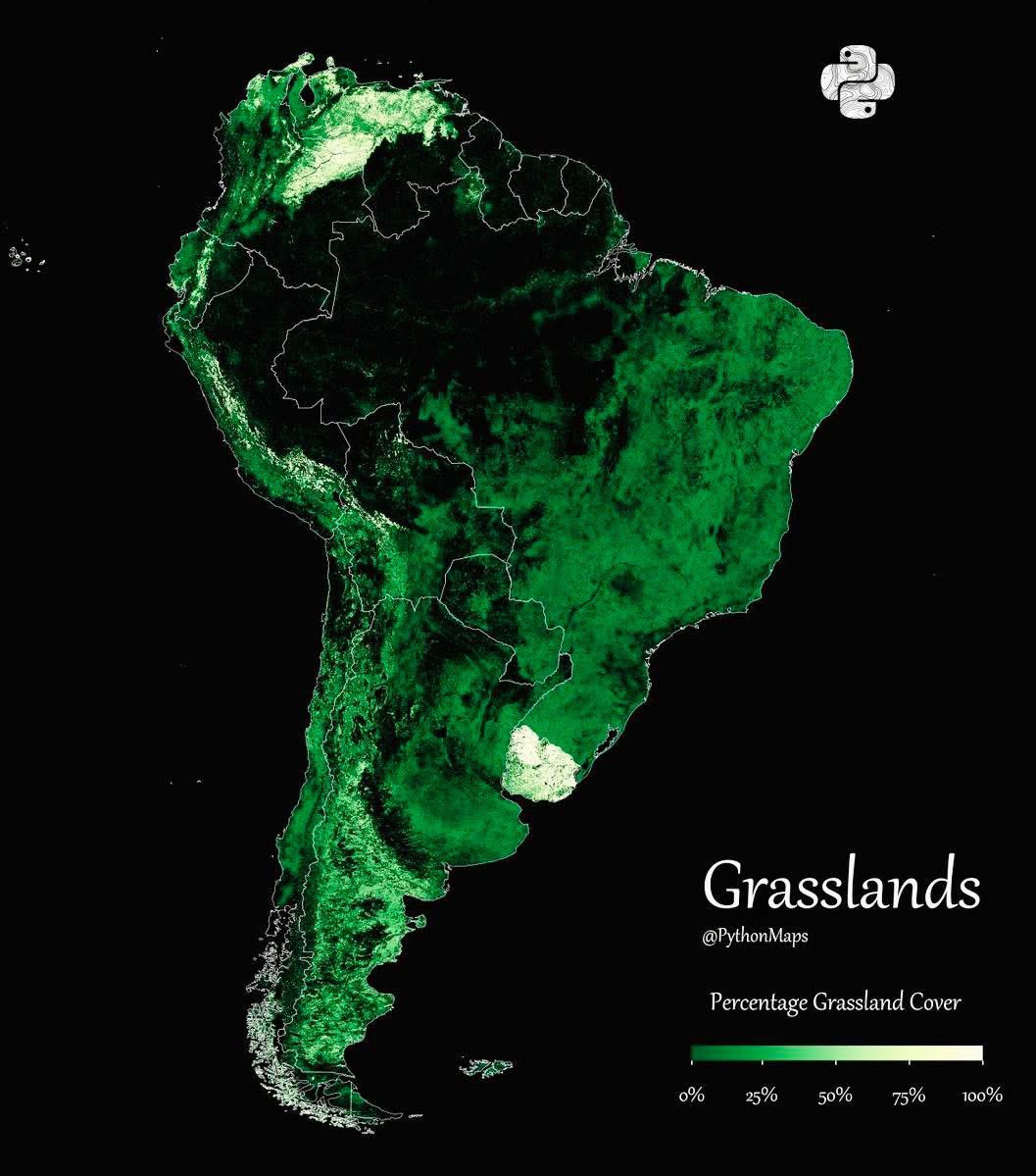Grasslands in South America
