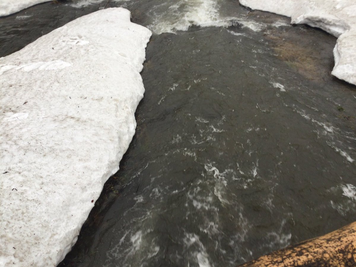 #七滝神社　#秋田県小坂町
七滝の神聖な飛沫を浴びた後、隣の神社⛩
を訪れました。
雪深くて拝殿まで到達できませんでした💦
手水舎の前で参拝しました😀
龍が印象的でした🐉