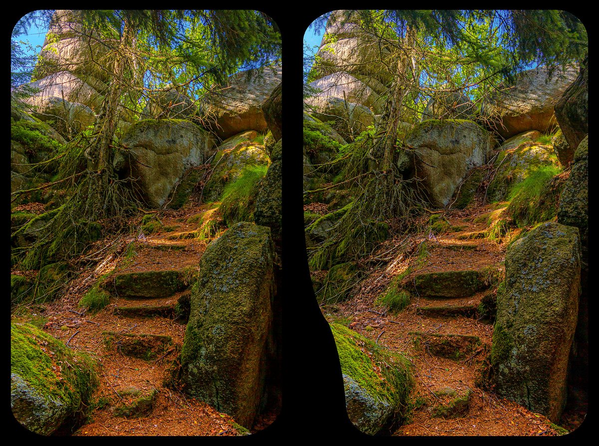 Stereo_tron's tweet photo. #3D #Harz #Stereoscopy #Kreuzblick #Crossview #Stereo3D #SachsenAnhalt #Mystique #sacred #outdoorphotography #naturescenery https://t.co/UYl4KYB5aY