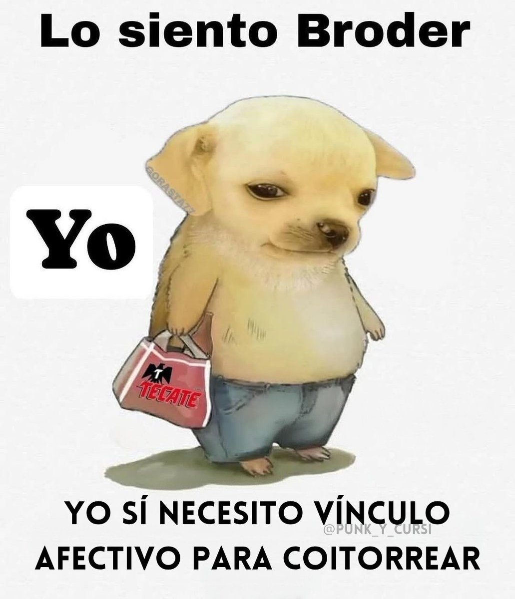 🐶🐶🐶🐶