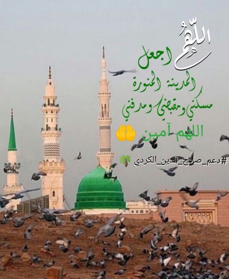 #صلوا_على_الحبيب_محمد_ﷺ♥️
#دعم_صلاح_الدين_الكردي 🌴
<a href="/alkurdislahald2/">#دعم_صلاح_الدين_الكردي🌴#طيارة_المليون_العالمي🌎🟡</a>
<a href="/alkurdislahaldi/">صلاح الدين الكردي</a>
<a href="/F____A9/">♡‏ذكۂٰۣ۫ۨۂٰۣ۫ۨريۂٰۣ۫ۨۂٰۣ۫ات قۂٰۣ۫ۨۂٰۣ۫ۨۂٰۣ۫ۨلب♡</a>
<a href="/Y_a_f_a_Y/">Al Yafei</a>
<a href="/frz_fahd2/">⁹⁷² •• 𝕬𝖍𝖒𝖊𝖉 3𝖆𝖗𝖊𝖋</a>
@jojo20xm
<a href="/mb38901/">احلام مبعثرة</a>
<a href="/N__alkurdi/">N__alkurdi.bavê Alan نجم الدين☀️</a>
<a href="/msnbdllh7/">محسن آل سالم</a>
@lrllrl1851351
<a href="/bnfryd2024/">بن فريد الشعيبي</a>
<a href="/AbuAmad87/">مبارك الخليفي</a>
<a href="/LDaeer52304/">وصل وصل 🍀☘️</a>
<a href="/DlylAbw14474/">الشيخ ابو وليد مفسر احلام</a>
<a href="/almmlkt23695/">بنت المملكة</a>
<a href="/MyswnA53855/">مرام</a>
لاتنسونا من رتويت🔄 للنشر🌴