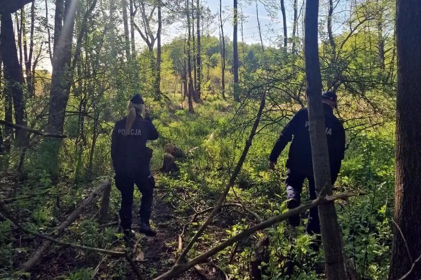 „W związku z ujawnieniem dzisiaj rano w Mławie zwłok zaginionej 16-latki dzięki międzynarodowej współpracy policji w Grecji zatrzymany został podejrzany o zabójstwo mężczyzna, za którym wystawiono ENA” - poinformowała policja.

16-letnia Maja z Mławy zaginęła 23 kwietnia.