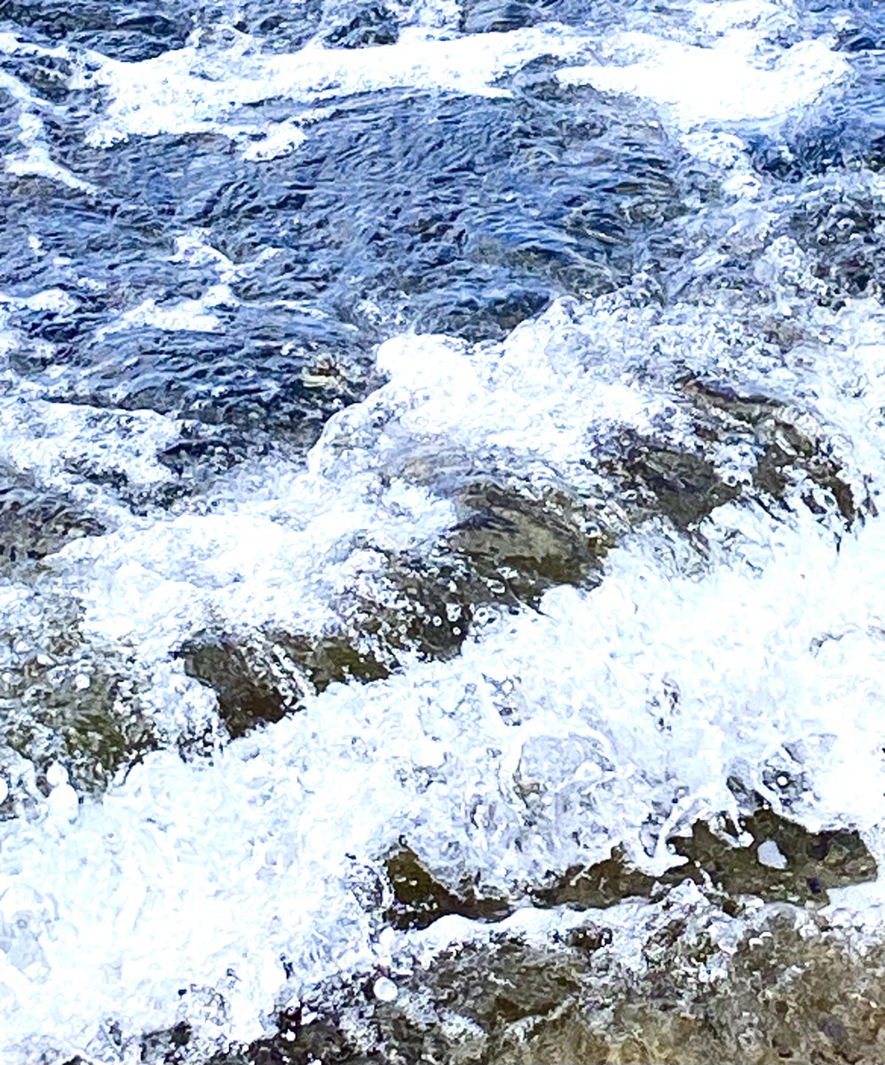 TFxGXdMp713yOn0's tweet image. おはようございます☘️

爆弾低気圧との
闘いの日になりそう（笑）

今日もゆるよろです😊

#カコウミ

フォローしてる方が
フォロースレッドに出てこない問題
なんとかならないかなぁ💦
(´･֊･`)ｺﾏｯﾀｺﾏｯﾀ