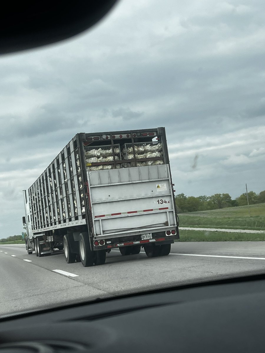 CRUZ FOR THE PEOPLE (CA) (@realerincruz) on Twitter photo There is currently a genocide of our poultry. It is continuing, not only that I just passed the transport of 7 to 10,000 hens, dead hens- open transport. Lies and manipulation of bird flu. <a href="/realDonaldTrump/">Donald J. Trump</a> It’s not enough to put a press release out how you’re going after and There is currently a genocide of our poultry. It is continuing, not only that I just passed the transport of 7 to 10,000 hens, dead hens- open transport. Lies and manipulation of bird flu. <a href="/realDonaldTrump/">Donald J. Trump</a> It’s not enough to put a press release out how you’re going after and