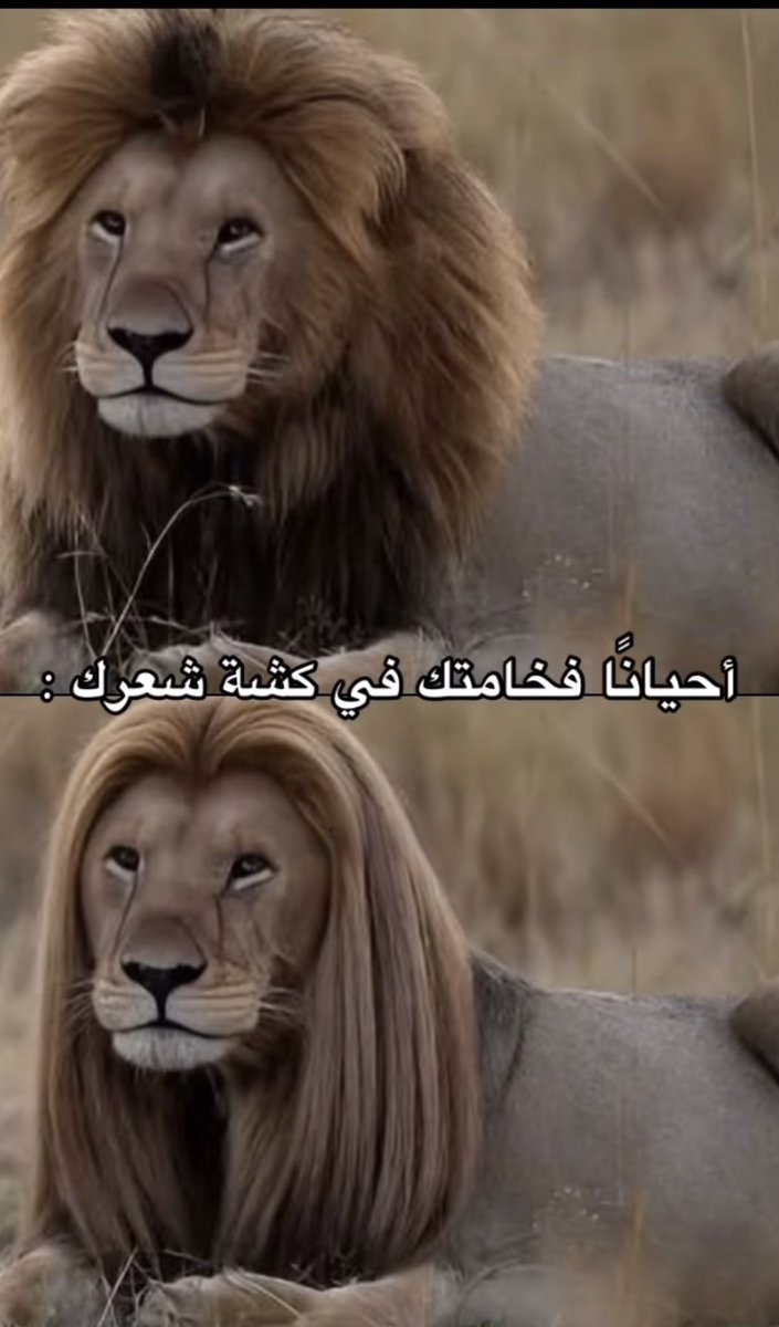 محبوب (@imahbuob) on Twitter photo 