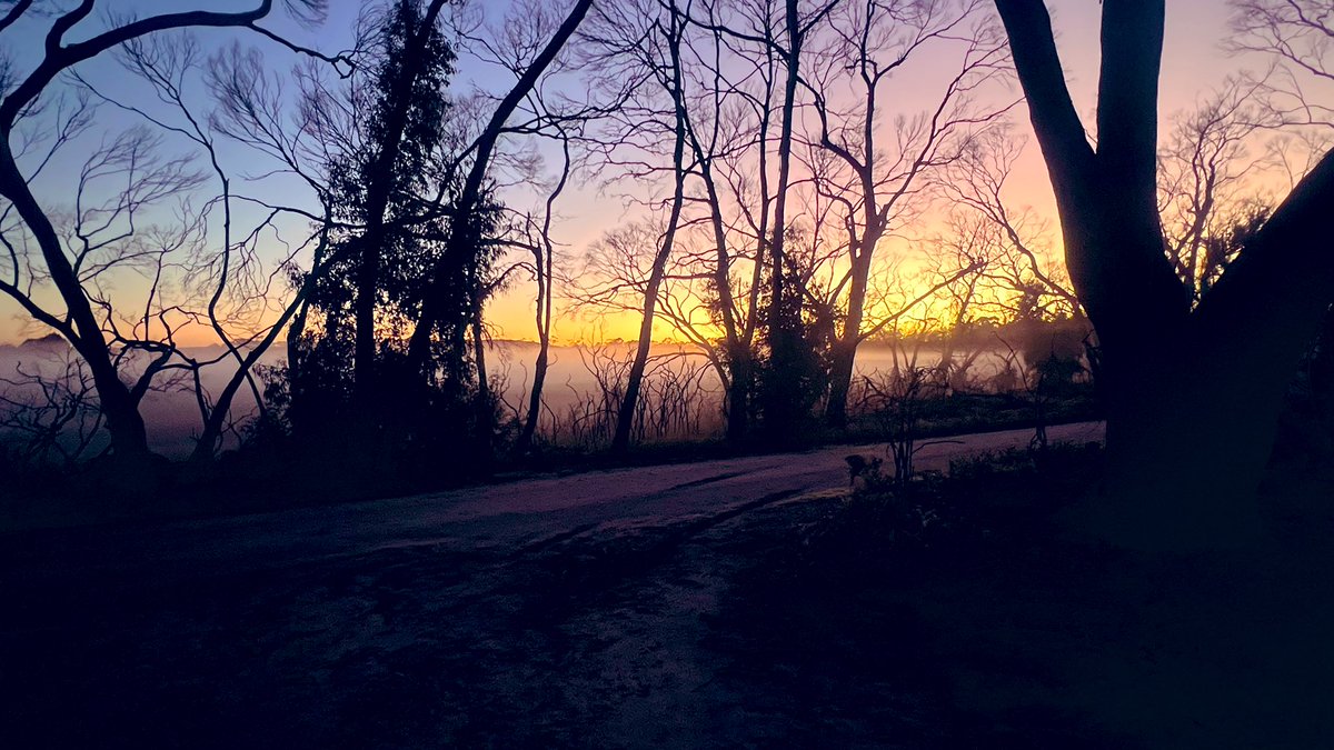 Morning all xx gorgeous sunrise over the mist settling on the swamp out here on Wadawurrung Country this morning 🖤💛❤️ I wish you all a moment of peace and calm today x look after yourselves you mob - you matter xx #AlwaysWasAlwaysWillBe