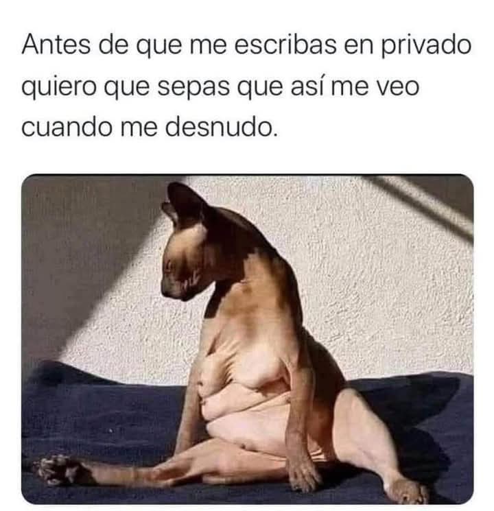 Jajaja jajajaja 😂