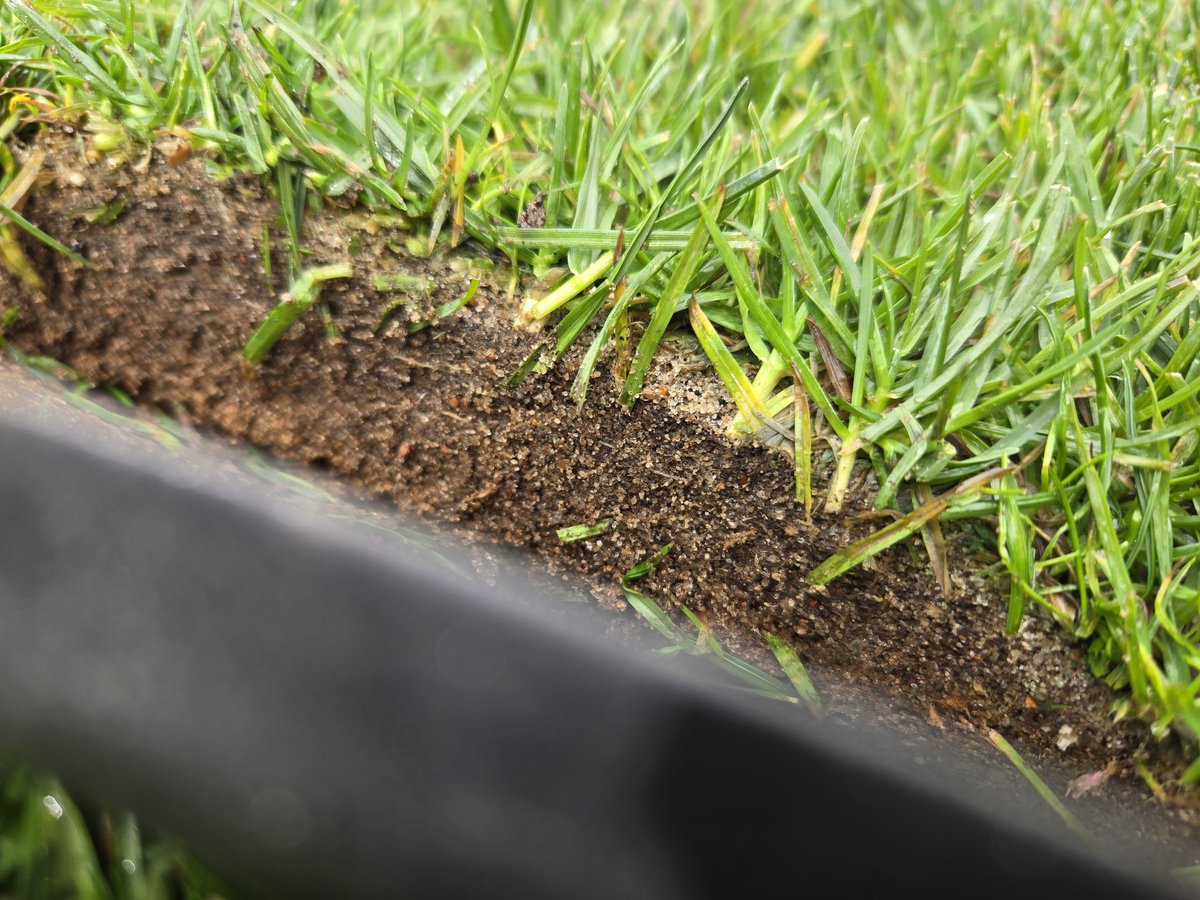 BMO Field Grounds Team (@bmogrounds) on Twitter photo Over 4 years since our last full renovation on the hybrid... I think it looks pretty clean. <a href="/SISPitches/">SIS Pitches</a> Over 4 years since our last full renovation on the hybrid... I think it looks pretty clean. <a href="/SISPitches/">SIS Pitches</a>