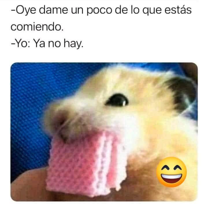 Jajaja jajajaja 😂