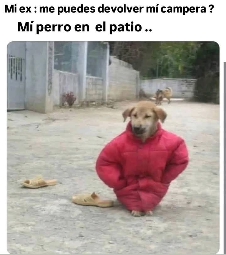 🙈🤣😂🤣😂🤣