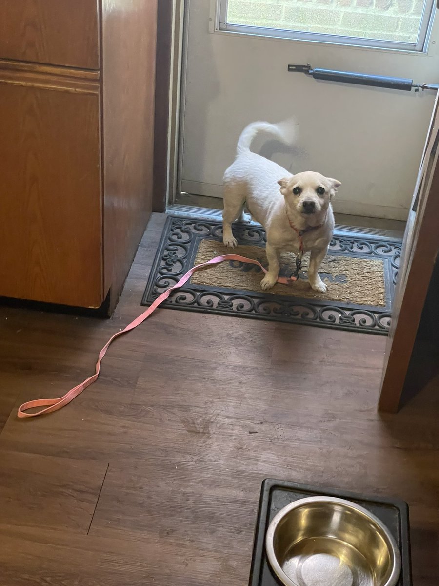 Daniel BOBO tweet media