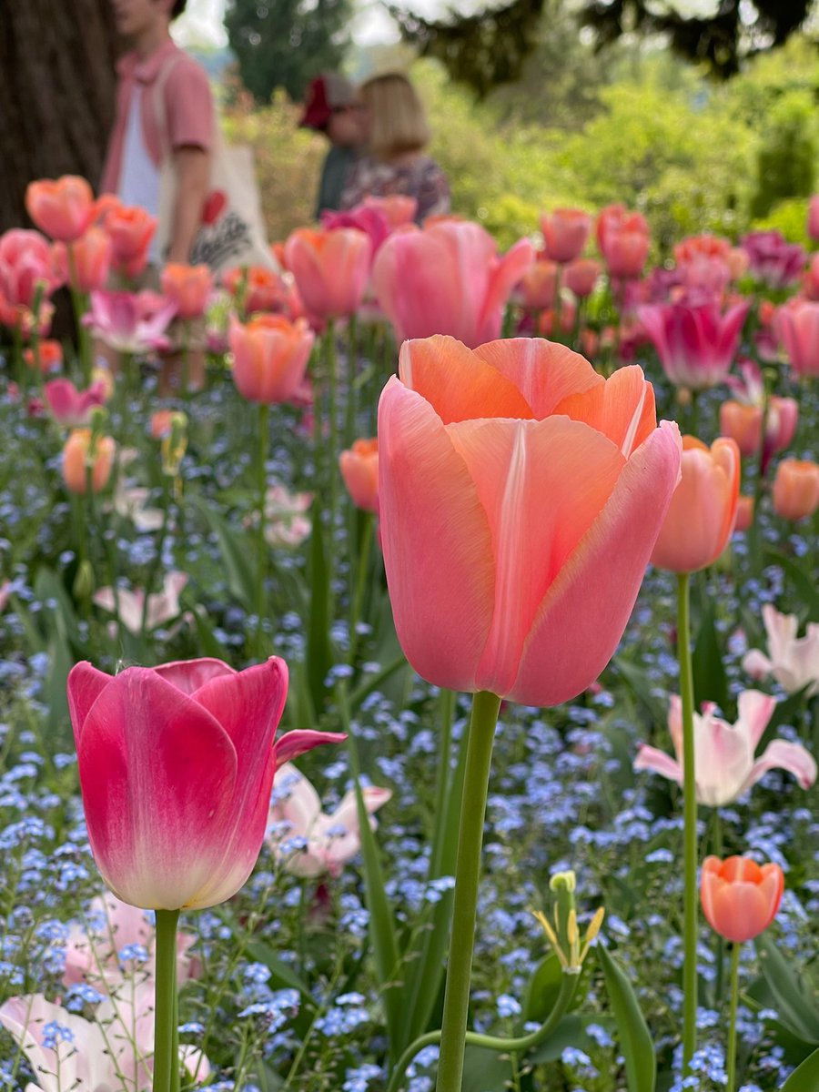 Estefanía 🪲 tweet media