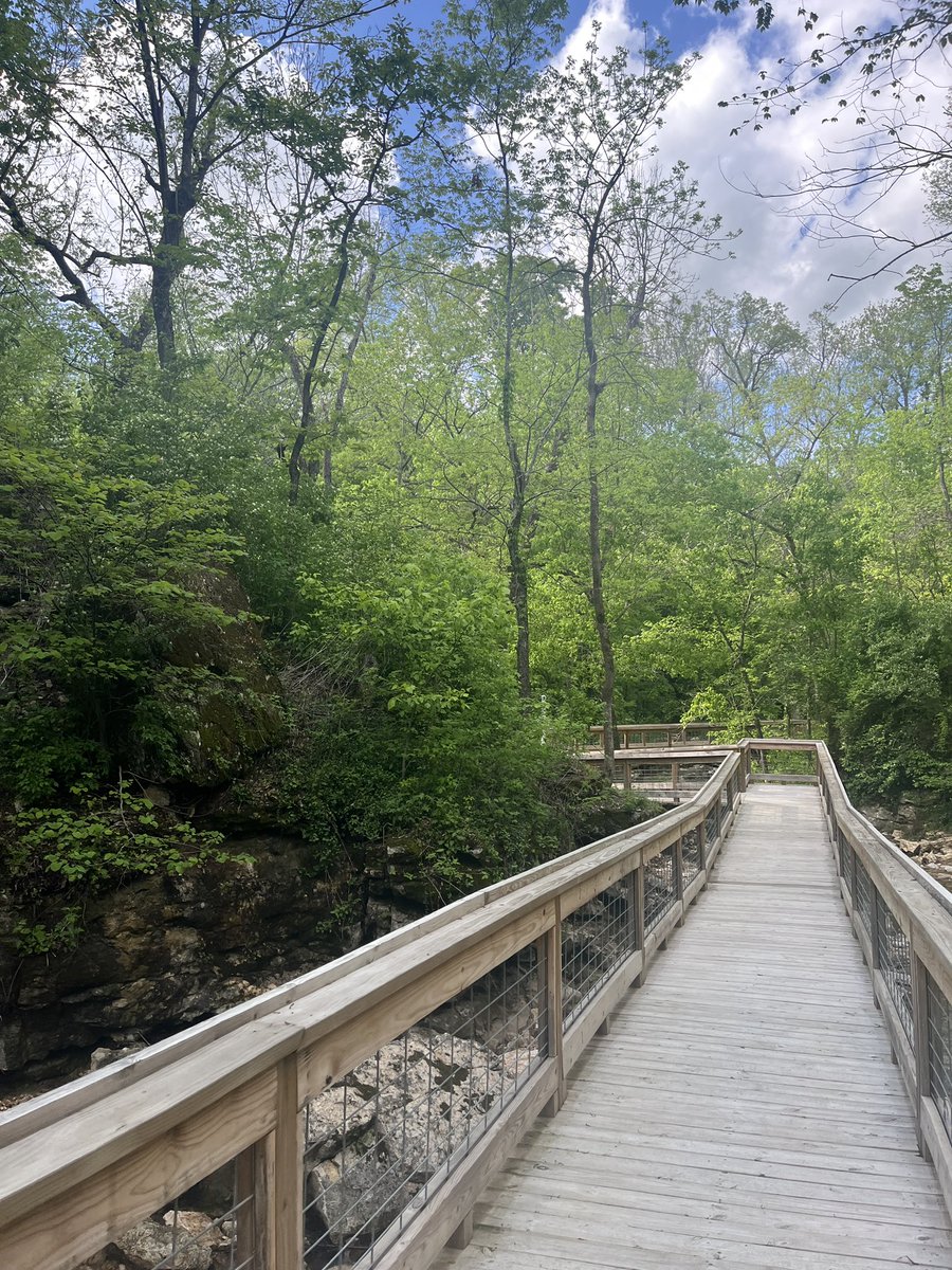 Dee Kerr tweet media