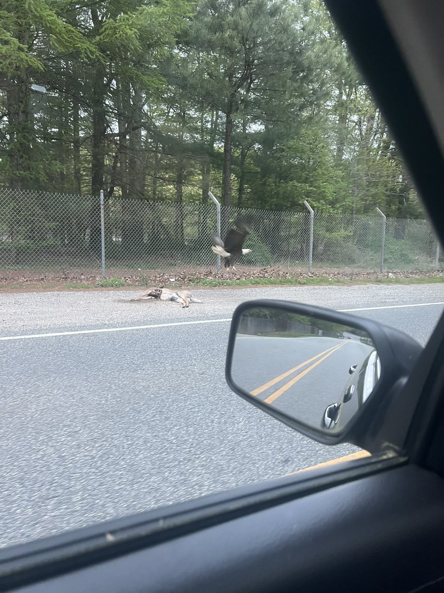 Just witnessed some National Geographic shit
