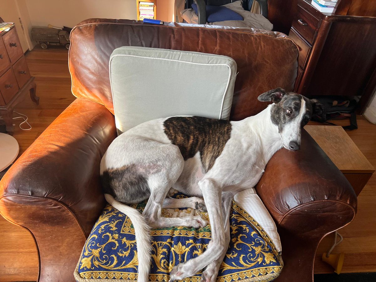 Betty is ready to watch the election coverage