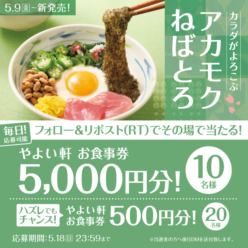 【本日9日目】
毎日応募可能!その場で当たる🎯
アカモクねばとろ定食発売記念キャンペーン💝

画像内の景品を抽選で10名様に🎁
Wチャンスも🤩

応募方法
① #やよい軒 (<a href="/yayoiken_com/">やよい軒【公式】</a>)をフォロー
②この投稿をリポスト
③その場で当選者にDMが届く

5.18(日)迄
#今日によいもの