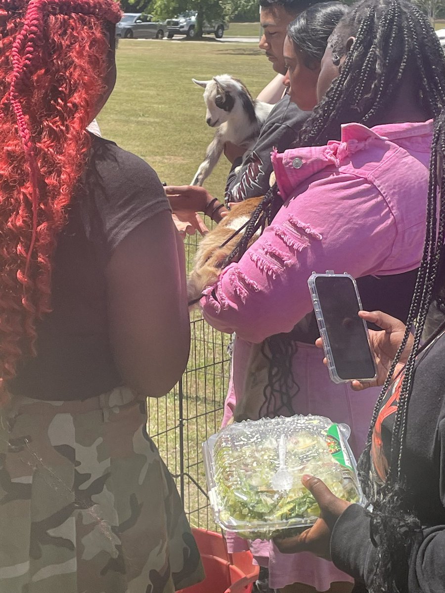 SEL is available in a variety of ways. Pet therapy today <a href="/redhawksc/">Westwood</a> Westwood high school.