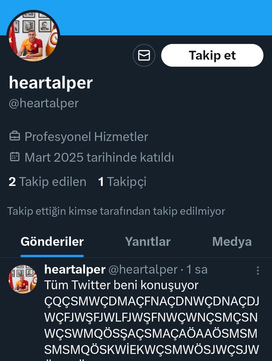 Rahatsız arkadaşımız tw açıp tüm mentlere de üşenmeyip cevap vermiş vallahi ölürüz işsizliğine