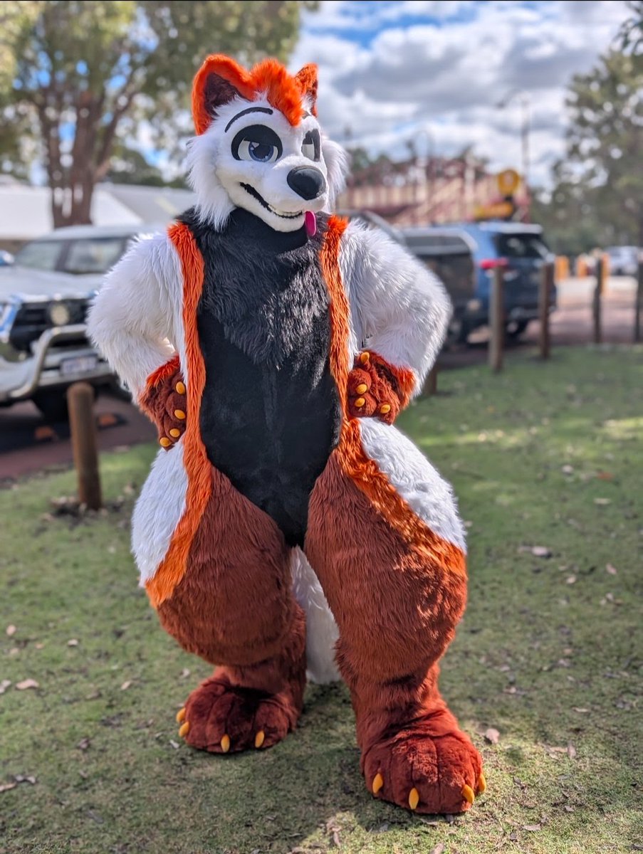 #FursuitFriday I hope you guys have an awesome day 🧡🤍