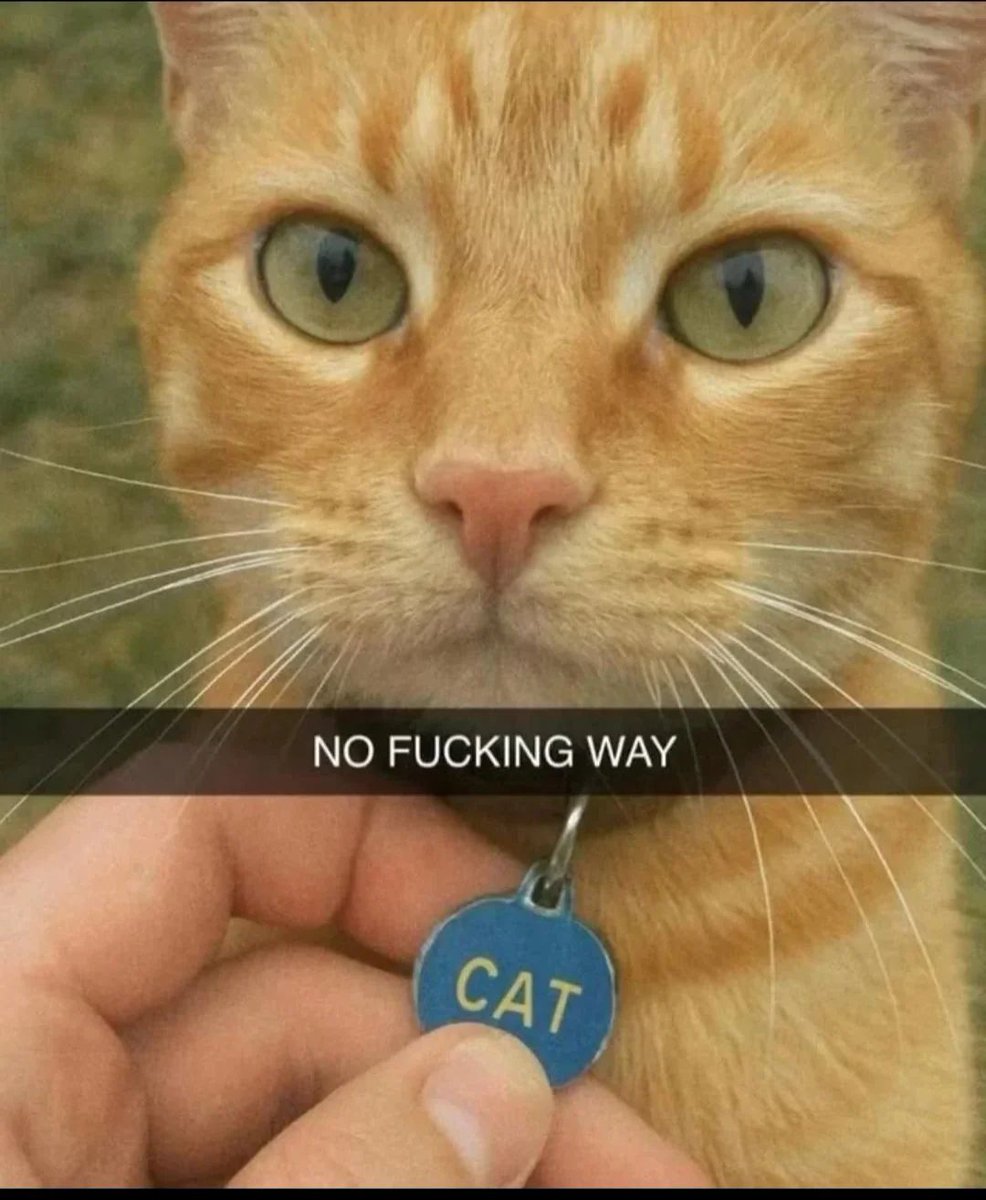 hourly_shitpost's tweet image. 