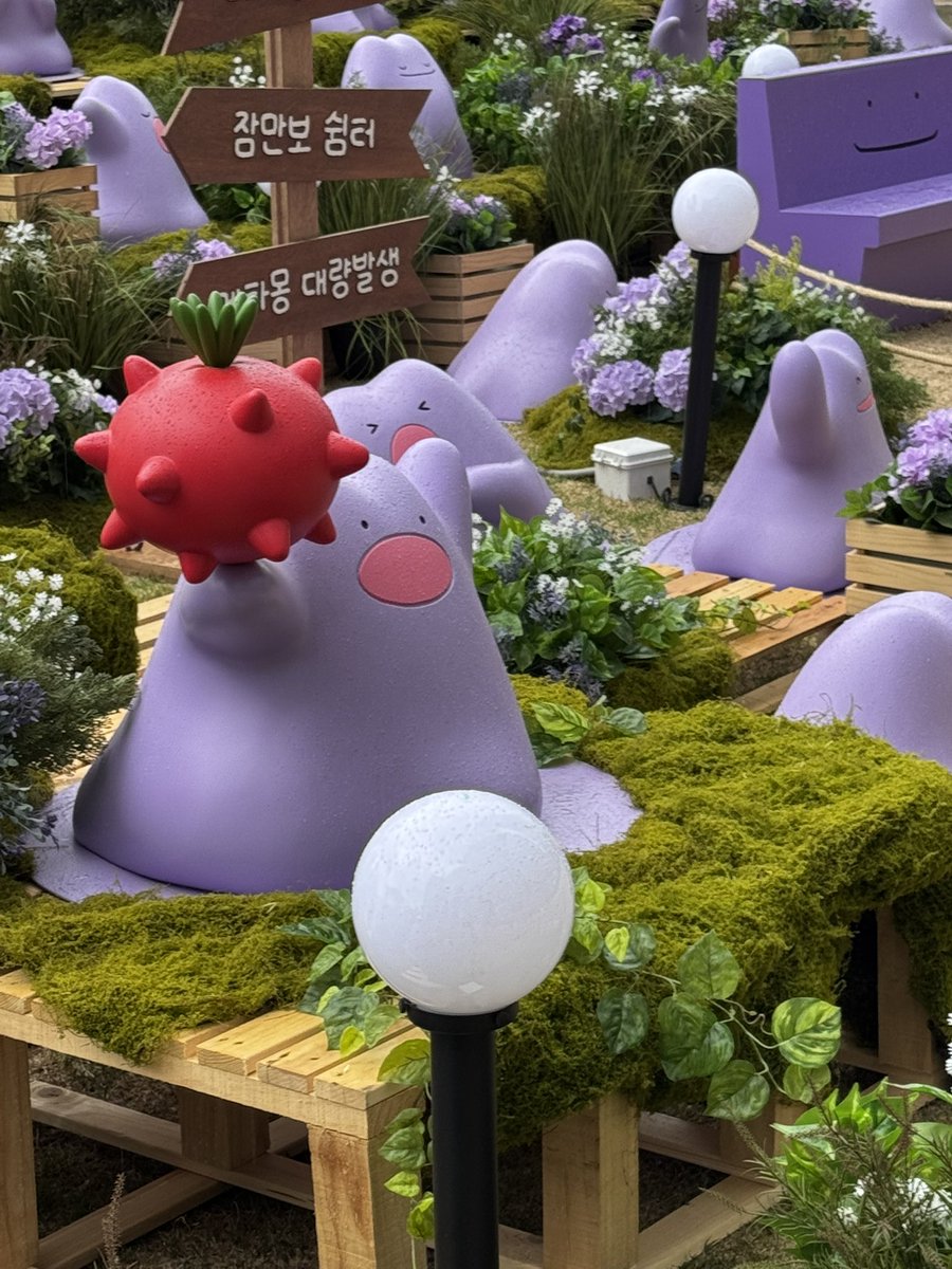 어제 메타몽 팝업에 가다왔는데 사람 너무 많아요
한정판 인형이 못샀지만 대신 캡슐 뽑기 많이 했음….
너무 귀여워~~~~