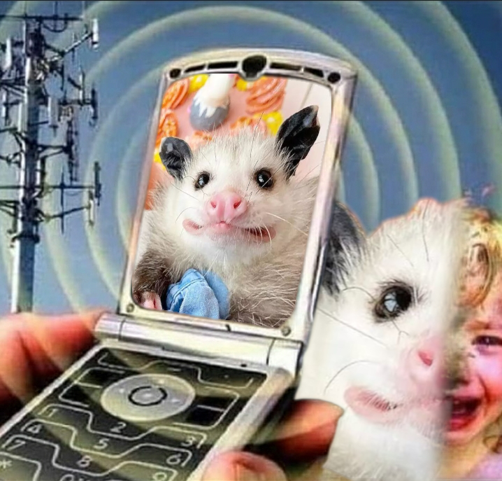 Tweet media one
