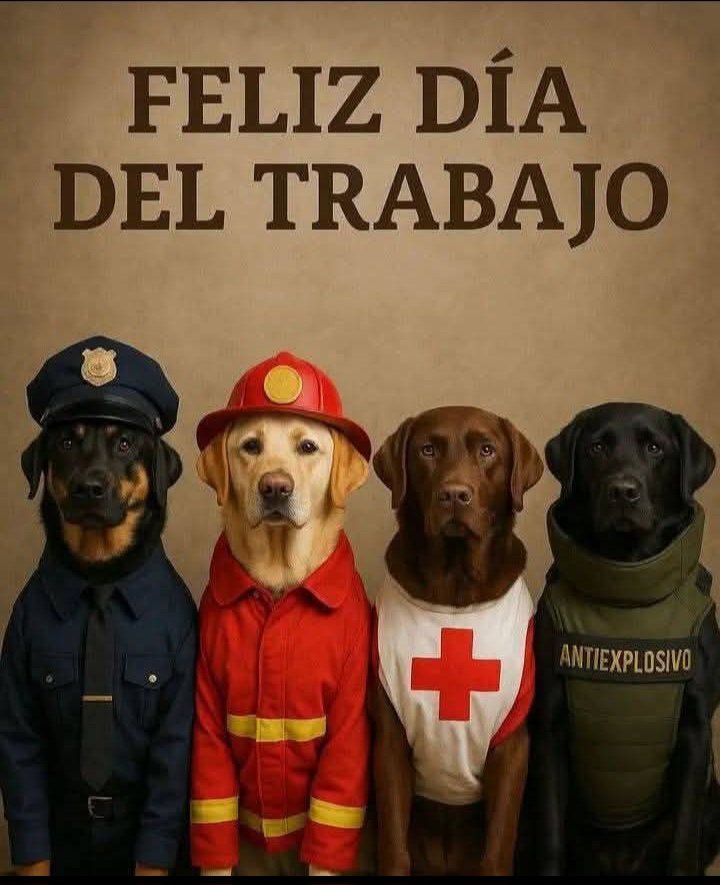 Nos comparten esa bella imágen.