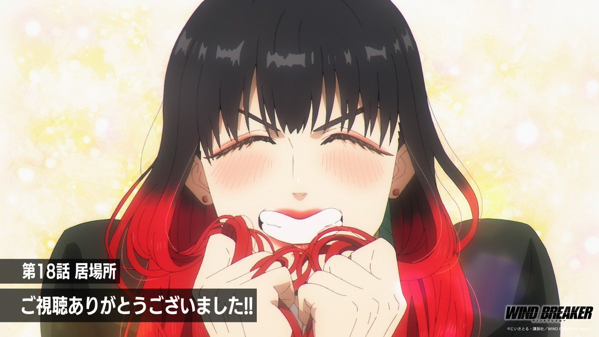 WIND BREAKER ウィンブレ 椿野佑