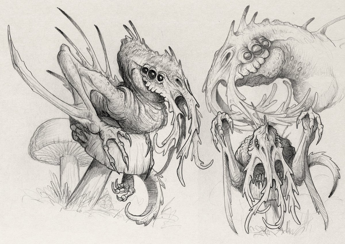 DragonsofWales tweet media