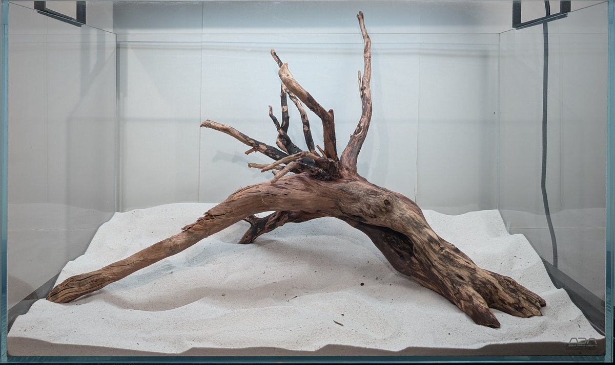 専用 ソウルさんご相談ページ 流木 流木ショップ−水宗工房− (@suiso_kobo) / Posts / X